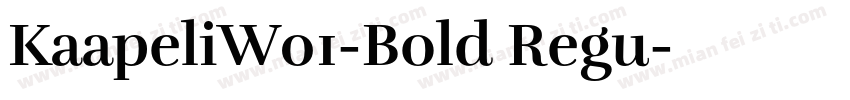 KaapeliW01-Bold Regu字体转换